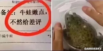 暂无描述