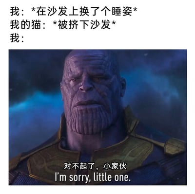 这是一张结合影视元素的搞笑日常梗图，上方文字描绘了一个养猫人的日常小插曲：主人在沙发上更换睡姿时，不小心将猫咪挤下了沙发；下方使用漫威电影《复仇者联盟3：无限战争》中灭霸的影视截图，配上“对不起了，小家伙 I'm sorry, little one.”的台词，用这个经典角色愧疚的神情，生动还原了主人不小心弄掉猫咪后，既愧疚又有点无奈的微妙心情，将普通的日常小事赋予了趣味的影视梗色彩，让人会心一笑。