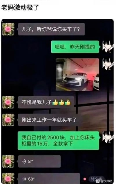 这是一张带有顶部文字“老妈激动极了”的微信聊天记录截图，内容是母子间关于买车的趣味对话。老妈听闻儿子买车后询问情况，儿子确认刚提车并发送了车库里的汽车照片，老妈随即夸赞刚工作一年的儿子有能力，没想到儿子紧接着说出“全款”的真相：自己只出了2500元，其余15万是从老妈床头柜里拿的，最后老妈发送了两条语音，前后形成强烈反差，制造出搞笑效果，展现了母子间轻松逗趣的相处模式。