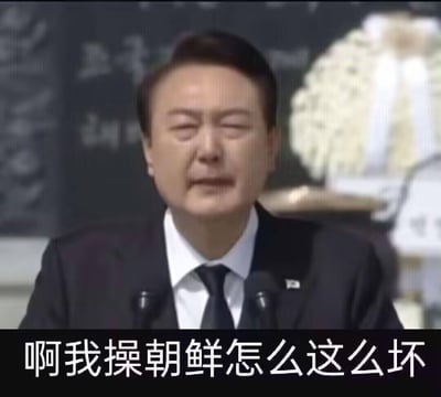 这是一张网友二次创作的恶搞梗图，截图自韩国总统尹锡悦在一场严肃公开悼念活动中的发言画面，画面里尹锡悦双眼紧闭，面部表情激动，呈现出哭喊的状态。下方被添加了与原场景完全无关的低俗恶搞字幕“啊我操朝鲜怎么这么坏”，通过严肃正式的场景与荒诞离谱的字幕形成强烈反差，制造出搞笑荒诞的效果，属于对真实政治人物画面的恶意玩梗创作。