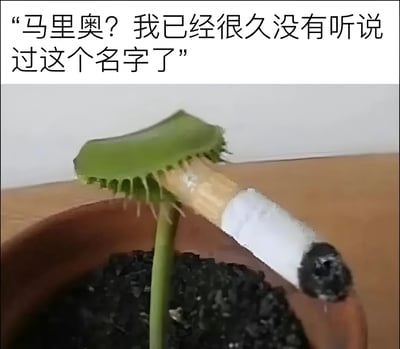 图片上方有文字“马里奥？我已经很久没有听说过这个名字了”，下方是一盆捕蝇草，其叶片夹住了一根点燃过的香烟。这张梗图通过捕蝇草与马里奥游戏中的食人花外形相似的特点，制造幽默效果，暗示捕蝇草