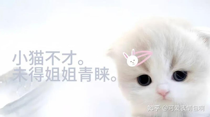 小猫不才版古风小生表情包