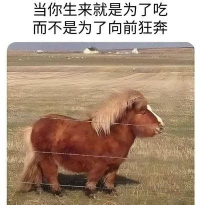 图片上方配有文字'当你生来就是为了吃而不是为了向前狂奔'，下方是一只棕色小矮马站在开阔的草地上，鬃毛和尾巴呈浅棕色，体型圆润，正淡定地望向一侧。背景是广袤的田野和远处的几座白色房屋，整体营造出一种幽默对比的氛围，用小矮马的悠闲姿态呼应文字中'不为狂奔只为吃'的佛系生活态度。