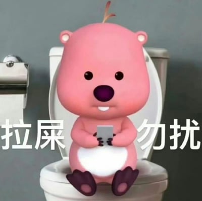 这是一张经过二次创作的趣味卡通表情包，主体是韩国动画《波鲁鲁冰雪大冒险》中的粉色小海狸Loopy，它被放置在卫生间马桶的场景中，双手捧着手机，表情平静呆滞。图片左右两侧配有醒目的白色文字“拉屎 勿扰”，直白地表达出想要独处、拒绝被打扰的诉求，风格接地气又搞笑，适合在社交沟通中用来告知他人自己需要私人空间，不想被打扰的状态。