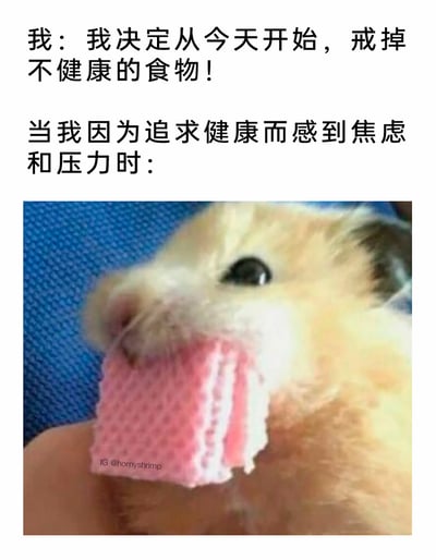 这是一张搞笑的图文混排梗图，上方的中文文字先呈现了“我”立下的健康目标：决定从今天开始戒掉不健康的食物，随后引出后续情境——当“我”因为追求健康而产生焦虑和压力时，下方的图片展示了一只浅棕色仓鼠正急切地啃咬着一块粉色夹心威化饼干的画面，用仓鼠的行为对应“我”破戒去吃不健康食物的状态，生动又幽默地调侃了很多人在健康饮食的自律和情绪性进食的本能之间反复摇摆的真实日常，精准戳中人们在立flag后轻易破防的搞笑反差感。