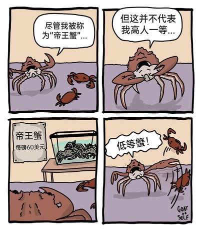 这是一幅四格卡通讽刺漫画：第一格中体型硕大的帝王蟹与两只小螃蟹共处，帝王蟹开口说道“尽管我被称为‘帝王蟹’...”；第二格中帝王蟹接着表达“但这并不代表我高人一等...”，展现出它渴望与同类平等的态度；第三格画面切换到一个摆放着帝王蟹的鱼缸，旁边的标牌清晰标注“帝王蟹 每磅60美元”，揭示了帝王蟹在人类市场中被高价售卖、失去自由的处境；第四格回到之前的场景，一只小螃蟹跳起来攻击帝王蟹，大喊“低等蟹！”，形成强烈的身份反差，用荒诞的情节讽刺了自我认知与外界评价、现实处境的错位，制造出幽默的效果。