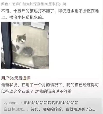 这张图是电商平台的商品评价截图，整体分为上下两部分：上半部分是买家最初发布的好评，写明购买的是芝麻白加大加深直径20厘米的石头碗，原本认为这款碗重量足够，15斤的猫也无法打翻，能彻底解决自家猫拖水碗撒水的问题，还附带了一张实拍图，图里灰白花色的宠物猫正蹲在石头碗旁边看向玻璃外；下半部分是该买家时隔56天的追评，称使用仅一个月后，自家猫已经练出了足够的力气可以拖动这款石碗，碗的重量对猫来说已经不够，追评下方还有其他网友留下的调侃评论，整体内容充满意料之外的反差感，十分搞笑。