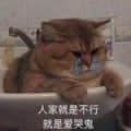 委屈猫坐洗手池撒娇哭诉：就是要哭嘛