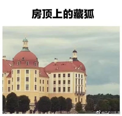 这是一张带有文字加注的静态视觉错位图，主体是一座黄墙红顶的欧式城堡建筑，建筑的红色屋顶、塔楼以及墙面的窗户、墙体轮廓组合在一起，恰好形成了类似藏狐脸部的视觉效果，图片顶部配有文字“房顶上的藏狐”，点明了这个视觉错觉的趣味点，让原本庄重的城堡建筑变得诙谐有趣，利用人类的视觉错觉制造出幽默的创意效果。