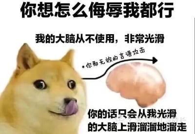 这是一张基于经典Doge柴犬表情包改编的静态图文混排图，图中柴犬吐着舌头，表情搞怪戏谑。图中搭配了多段自嘲风格的文字，以“大脑从不使用、非常光滑”为核心设定，调侃他人的言语攻击会像在光滑表面滑落一样，无法对自己造成任何影响，用幽默夸张的方式表现出一种摆烂、自我屏蔽外界负面评价的心态，适合在社交场景中用来表达不在意他人指责、不想理会外界负面声音的情绪。
