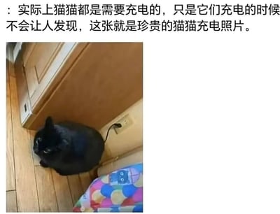 图片上方配有文字说明：'实际上猫猫都是需要充电的，只是它们充电的时候不会让人发现，这张就是珍贵的猫猫充电照片。' 下方是一张实拍图，一只黑猫坐在木地板上，靠近墙角的电源插座，其尾巴恰好插入插座中，形成猫咪正在'充电'的幽默视觉效果，整体风格可爱又搞笑，利用猫咪尾巴的位置制造出拟人化的充电场景。