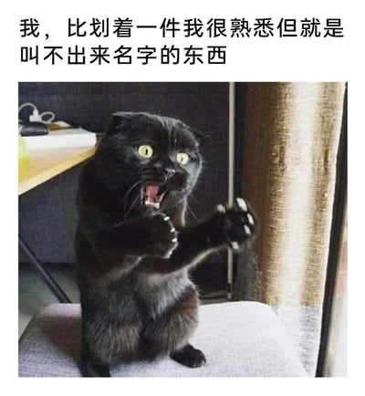 这是一张图文结合的趣味表情包，上方配有文字“我，比划着一件我很熟悉但就是叫不出来名字的东西”，图中是一只黑色折耳猫，它坐在椅子上，嘴巴大张、眼神瞪大，露出着急又激动的神情，同时抬起两只前爪做出比划的动作，生动形象地还原了人们生活中遇到“舌尖现象”——话到嘴边却想不起熟悉事物名称时，那种焦急、无奈又急于表达的状态，能让看到的人产生强烈的情绪共鸣，常被用于社交聊天中抒发这种特定的情绪。