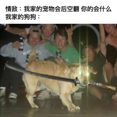 图片上方文字构建了一个情敌间的宠物比拼场景：情敌炫耀自家宠物会后空翻并挑衅“你的会什么”，下方配图则是一只金毛犬嘴里叼着一把长剑，眼神似乎带有高光特效，周围有一群人举着饮料欢呼雀跃，通过夸张的对比制造出强烈的喜剧效果，展现“我家狗狗”的“硬核”技能完胜对方的趣味场景。
