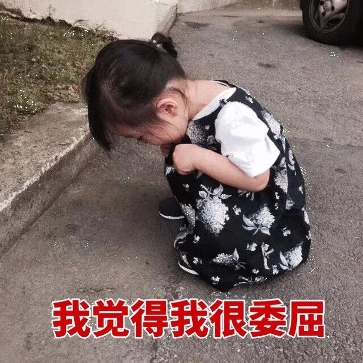 权律二委屈表情包