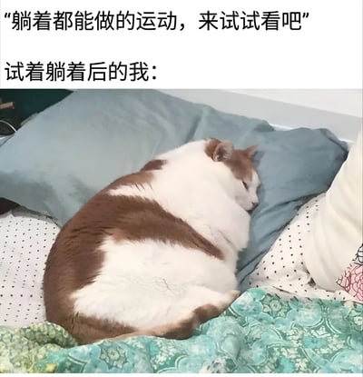 图片上方配有文字“躺着都能做的运动，来试试看吧”，下方接着“试着躺着后的我：”，随后是一张实拍图：一只棕白相间的胖猫蜷缩在铺有蓝色枕头和花纹被子的床上，双眼紧闭，睡得十分香甜。通过幽默的对比，调侃了“躺着运动”最终变成“躺着睡觉”的真实写照，戳中懒人想运动又忍不住偷懒的心理。