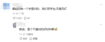 这是一张竖屏格式的社交媒体评论区截图，属于纯文字类内容。截图中展示了两条网友的互动评论：第一条来自广东的网友发布评论“最起码有一个字是对的，我们班学生无骨凤灯”，故意将“无骨凤爪”的“爪”替换成“灯”，玩起谐音梗；第二条来自内蒙古的网友回复调侃“娘诶，是个干建材的好材料啊😅”，将“无骨凤灯”联想成建材相关物品，进一步放大了搞笑效果。第一条评论获得1123个点赞和41条评论，第二条回复获得600个点赞，整体内容通过谐音和联想制造出轻松幽默的氛围。
