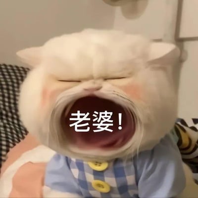 图片中是一只白色的猫咪，它双眼紧闭，嘴巴张得极大，露出粉红色的口腔内部，仿佛在大声喊叫。猫咪穿着一件蓝色的格子背带装，上面有黄色的纽扣，显得十分可爱。在它张开的嘴巴中央，有醒目的白色文字“老婆！”，整体营造出一种猫咪激动地呼唤“老婆”的幽默搞笑效果。