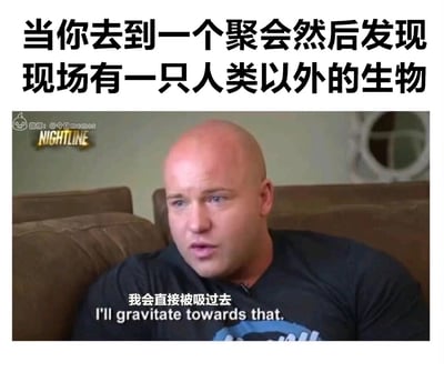 这是一张戳中社恐人群共鸣的搞笑梗图，顶部配有文字“当你去到一个聚会然后发现现场有一只人类以外的生物”，下方是截取自美国新闻节目《NIGHTLINE》的受访男子画面，男子坐在沙发上，嘴巴微张，眼神带着惊讶与向往，底部配文“我会直接被吸过去”，用夸张的方式表现出不擅长社交的人，在聚会场景中更愿意和动物相处，逃避人际社交的真实心态。