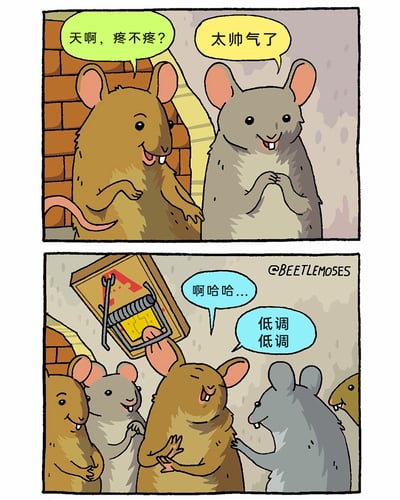 这是一幅由两格组成的搞笑卡通漫画，第一格中，一只棕色老鼠带着关切的表情向同伴询问，旁边的灰色老鼠则满脸兴奋地发出赞叹；第二格揭晓了赞叹的原因，一只棕色老鼠头顶着已经触发的老鼠夹，脸上带着得意的笑容大笑，旁边的灰色老鼠则配合地让它“低调低调”，还有其他几只老鼠在一旁围观。漫画将原本对老鼠来说极具威胁的老鼠夹，通过同伴的反应和当事老鼠的态度，转化为“帅气”的象征，用这种荒诞的反差感制造出强烈的幽默效果。