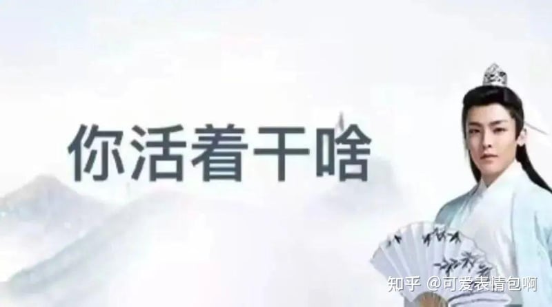 古风小生表情包：你活着干啥
