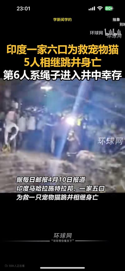 这是一则新闻视频的竖屏截图，内容为：据英国《每日邮报》4月10日报道，印度马哈拉施特拉邦的一家六口为营救落入井中的宠物猫，先后有5人跳井后不幸身亡，第6人因系着绳子进入井中得以幸存。截图上方是醒目的黄白配色新闻标题，下方是模糊的井边救援现场画面，同时配有补充报道的文字，整体是一起令人痛心的意外悲剧新闻。