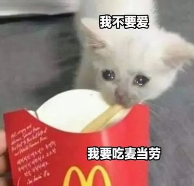 一只白色小猫有着水汪汪的大眼睛，眼神委屈，正低头从红色的麦当劳薯条盒中叼着薯条。图片上方配有文字“我不要爱”，下方配有“我要吃麦当劳”，通过幽默的对比表达了小猫对美食（麦当劳薯条）的渴望胜过“爱”，整体风格可爱又搞笑。