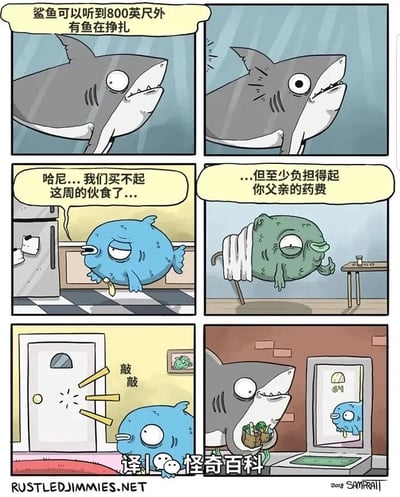 这是一幅六格连环漫画，讲述了打破刻板印象的温情故事：第一格以文字说明“鲨鱼可以听到800英尺外有鱼在挣扎”，搭配一只表情惊讶的鲨鱼；第二格鲨鱼的错愕感加剧，显然捕捉到了目标动静。第三格场景切换至鱼的家中，蓝色鱼愁眉苦脸地对绿色鱼倾诉“哈尼...我们买不起这周的伙食了...”，直白展现家庭的生存困境；第四格裹着毛巾的绿色鱼虚弱回应“...但至少负担得起你父亲的药费”，进一步凸显家庭拮据的处境。第五格蓝色鱼主动敲响鲨鱼的家门；第六格画面转回鱼家门外，鲨鱼嘴里叼着装满食物的篮子站在门口，蓝色鱼在门内注视着它——原来蓝色鱼并非成为鲨鱼的猎物，而是以特殊方式求助，善良的鲨鱼不仅没有伤害它，反而为这个贫困的鱼家庭送来食物，完成了颠覆鲨鱼凶猛捕食刻板印象的温情反转。