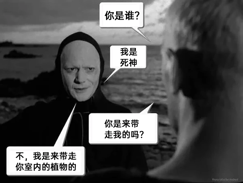 电影《第七封印》