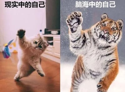 图片为左右对比结构，左侧是现实中的自己：一只浅色家猫在木地板上站立，前爪抬起玩彩色羽毛玩具，背景有电视柜和电视，显得可爱又日常；右侧是脑海中的自己：一只威猛的老虎同样站立姿势，前爪挥出带雪花特效，表情凶狠，背景为深色渐变，气场强大。通过动物体型和气场的强烈反差，幽默展现人们对自我现实与理想形象的认知差异。