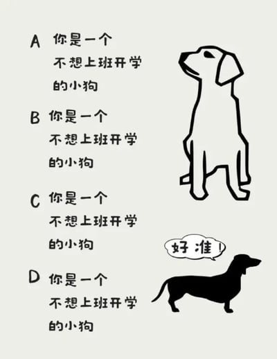 这是一张图文混排的静态趣味梗图，画面左侧依次列出A、B、C、D四个选项，所有选项的文字内容完全一致，均为“你是一个不想上班开学的小狗”；画面右侧上方是一只以线条勾勒的浅色小狗，呈坐姿抬头望向上方，神态平静；画面右侧下方是一只黑色的腊肠狗，呈站立姿态，其旁的对白气泡中写有“好准！”的文字。这张图通过设置无差别的选项，搭配“好准”的回应，用拟人化的小狗形象，精准戳中当代职场人抗拒上班、学生抗拒开学的倦怠心态，以轻松幽默的方式引发同类人群的情绪共鸣，消解负面情绪。
