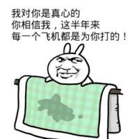 图片中是一个卡通猥琐脸形象，面带奸笑，手持一块绿色格子布巾，布巾上有黑色模糊图案。上方配有文字：'我对你是真心的 你相信我，这半年来！每一个飞机都是为你打的！'。图中文字使用了双关语，'打飞机'原指 masturbation，此处用于幽默调侃表白场景，制造搞笑效果。