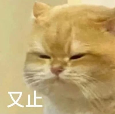 图片为一只橘色猫咪的特写镜头，猫咪毛发呈柔和的金黄色，面部表情慵懒，双眼半眯，似醒非醒，给人一种悠闲自在又略带不屑的感觉。猫咪的胡须清晰可见，鼻子呈粉色，整体神态十分放松。图片左下角有白色文字“又止”，背景为模糊的浅色，突出猫咪主体。