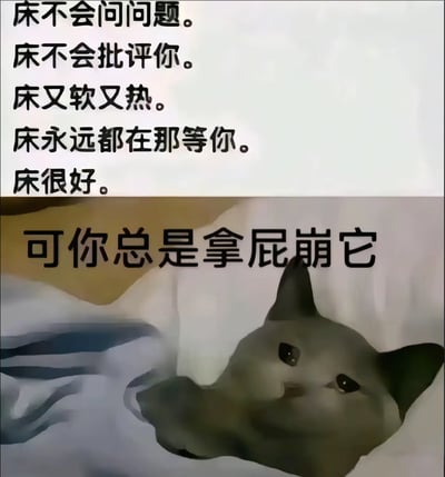 图片上半部分用黑色文字列举了床的诸多优点：“床不会问问题。床不会批评你。床又软又热。床永远都在那等你。床很好。” 下半部分则是一只灰色的猫趴在床上，旁边配有文字“可你总是拿屁崩它”，形成幽默的反差对比，用拟人化的手法调侃人们对床的“不珍惜”行为。