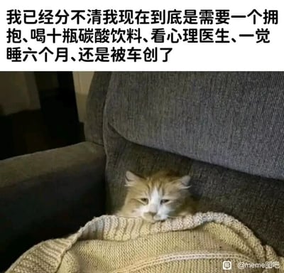 这是一张图文混排的静态单图，上方是黑色的自嘲式吐槽文字：“我已经分不清我现在到底是需要一个拥抱、喝十瓶碳酸饮料、看心理医生、一觉睡六个月、还是被车创了”，用夸张且递进的表述，宣泄出一种被生活压垮、精神极度倦怠，不知道该用何种方式缓解情绪的状态；下方是一只橘白相间的猫咪，它窝在深灰色的沙发里，身上盖着米色针织毯子，眼神涣散、眼皮半耷拉着，毛发看起来有些凌乱，整只猫呈现出疲惫不堪、提不起精神的状态，和上方文字传递的情绪高度契合，精准地烘托出那种身心俱疲的感受，是当代年轻人面对精神压力时的共鸣式情绪表达。