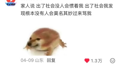 这是一张国内短视频平台的评论区截图，属于图文混排的搞笑梗图。顶部是用户发布的文字内容，内容调侃了家人对自己进入社会后会被人针对的预想，和实际进入社会后无人在意、不会被人无故责骂的现实形成反差。文字下方配有一张画风模糊、表情欠揍的棕色矮胖小狗表情包，截图底部显示该评论发布于4月9日，发布地点为山东，一共获得1.3万点赞。
