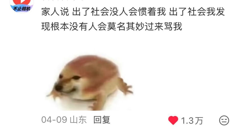 无特定原创作品，属于网络传播表情包