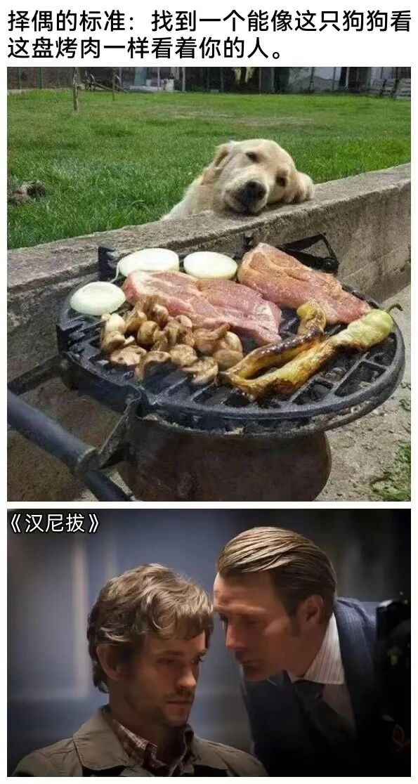 汉尼拔 (电视剧)