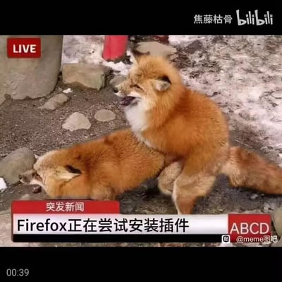 这是一张谐音双关类搞笑梗图，画面呈现两只真实的红狐狸互动的场景，一只狐狸趴在另一只身上，被配上了新闻播报的界面样式，下方标注“突发新闻 Firefox正在尝试安装插件”。这里玩了Firefox（火狐浏览器）的谐音梗，将“火狐”的字面意思和真实狐狸的动作结合，把软件安装插件的操作具象化，制造出荒诞滑稽的搞笑效果。