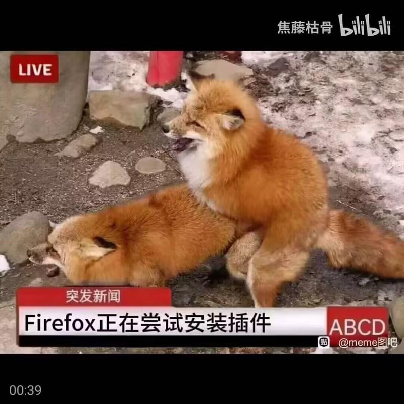 红狐狸