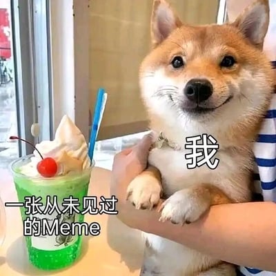 这是一张静态的宠物梗图，画面主体是一只被人用手臂抱着的柴犬，柴犬嘴角上扬，眼神明亮，表情十分愉悦开心，前爪搭在人的手臂上。柴犬的胸口位置配有文字“我”，画面左下角则标注着“一张从未见过的Meme”，旁边还摆放着一杯装在透明容器里的绿色饮品，饮品顶部有奶油和一颗红色樱桃，插着一根蓝色吸管，场景看起来是在室内的休闲场所。这张图通过拟人化的手法，将柴犬的开心表情与看到全新Meme时的自身心情绑定，生动地传递出人们发现新鲜有趣的梗图时的兴奋与好奇感。
