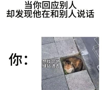 图片上方文字为'当你回应别人却发现他在和别人说话'，下方标注'你：'并配有一张猫蜷缩在地缝中的照片，猫的上方有文字'想找个地缝钻进去'。通过猫躲进地缝的形象，幽默地表达了回应错人时的极度尴尬心情。