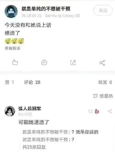 社交媒体用户“就是单纯的不想被干预”于06-28 01:23用Samsung Galaxy S8发布动态，内容为“今天没有和她说上话 糟透了”并配三个皱眉思考的emoji，表达因未能与在意的人交流而感到沮丧。该动态获得1赞、28条评论、0转发。评论区中，用户“弧人总冠军”在5小时前留言“可能她遭透了”，引发原po回复“? 我吊你妈的 ?”，形成幽默的互动反差。