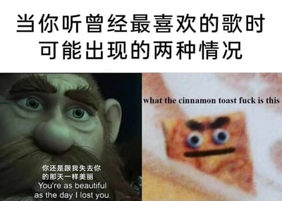 这是一张左右分栏的对比式表情包，顶部配有核心主题文字“当你听曾经最喜欢的歌时可能出现的两种情况”，精准概括了图中呈现的两种截然不同的情绪状态。左侧是动画《驯龙高手》中的角色史图依克，他眼神满是忧伤与怀念，配文“你还是跟我失去你的那天一样美丽 You're as beautiful as the day I lost you”，代表人们听到旧日喜爱的歌曲时，被回忆击中、沉浸在过往美好与伤感交织情绪里的状态；右侧是被P上拟人化表情的肉桂吐司，配文“what the cinnamon toast fuck is this”（用食物名称谐音脏话，弱化攻击性的同时强化嫌弃感），代表人们听到曾经痴迷的歌曲时，完全无法理解当初的审美，只觉得难听、充满嫌弃的反应。两种极端的情绪形成强烈反差，精准戳中人们面对旧歌时的两种典型感受，充满共鸣感与搞笑效果。