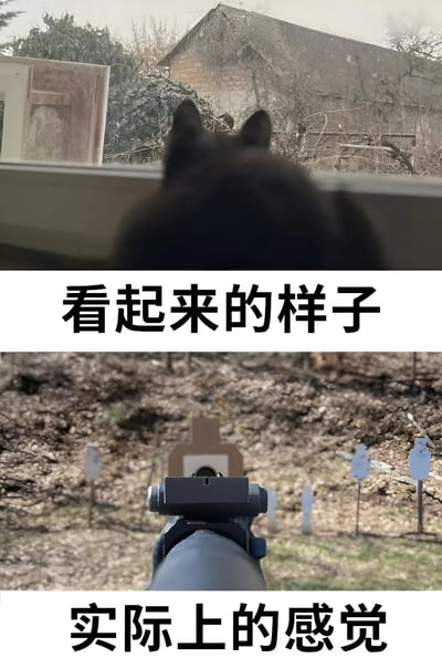 这是一张上下对比的梗图，通过两张图片的对比来制造幽默效果。上图显示一只黑猫正从窗户向外望去，窗外是乡村风格的老旧房屋和树木，营造出宁静、悠闲的氛围，下方配有文字“看起来的样子”。下图则是第一人称视角，显示正通过枪械瞄准射击场上的靶子，场景充满紧张感，下方配有文字“实际上的感觉”。这种对比暗示了表面现象与实际体验之间的巨大反差。