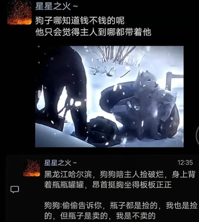 这是一张社交媒体截图，整体分为三个部分：上方是用户“星星之火～”发布的一段感慨文案，内容为“狗子哪知道钱不钱的呢 他只会觉得主人到哪都带着他”；中间是一幅卡通风格的雪地场景图，画面里一只狗狗背着瓶瓶罐罐，昂首挺胸坐得板板正正，旁边是主人的黑色身影；下方是用户“星星之火～”在12:35发布的正文内容，标注了地点为黑龙江哈尔滨，描述狗狗陪主人捡破烂的场景，还附上一段拟人化的狗狗内心独白：“偷偷告诉你，瓶子都是捡的，我也是捡的，但瓶子是卖的，我是不卖的”。整个内容充满温情，通过狗狗的陪伴姿态和文案，传递出动物对主人纯粹的忠诚与依赖，容易引发人们对人与动物真挚情感的共鸣。