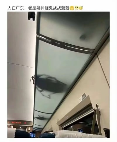 这张图是网友在高铁车厢内向上拍摄的实拍内容，画面中车厢顶部的半透明隔板上投射有数个轮廓模糊、外形酷似巨型蟑螂的深色阴影，图上方配有文字“人在广东，老是疑神疑鬼战战兢兢”，还附带了无奈、猫头、笑哭三个表情。结合广东地区蟑螂体型大、出现频率高的普遍生活常识，该图调侃了长期在广东生活的人看到类似蟑螂的轮廓就会下意识紧张的心态，画面中还可见高铁车厢的座椅、座位编号标识、速度显示屏等典型设施。