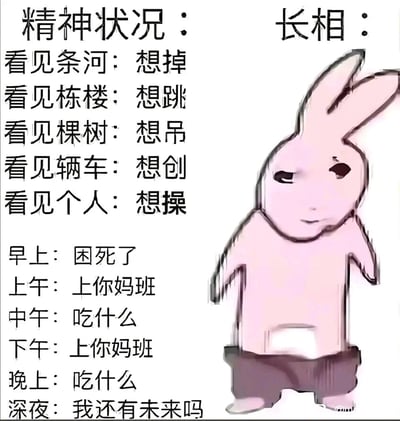 左侧以“精神状况”为标题，罗列了一系列极端且荒诞的想法：“看见条河：想掉”“看见栋楼：想跳”“看见棵树：想吊”“看见辆车：想创”“看见个人：想操”，随后描述了日常状态：“早上：困死了”“上午：上你妈班”“中午：吃什么”“下午：上你妈班”“晚上：吃什么”“深夜：我还有未来吗”，充满了摆烂和焦虑情绪。右侧“长相”标题下是一只卡通兔子形象，它有着长长的耳朵、圆乎乎的身体、面无表情的脸，眼神空洞，穿着深色短裤，整体画风简单潦草，与左侧混乱的精神状态形成鲜明对比，通过反差感制造搞笑效果。
