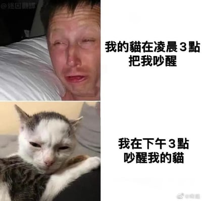 这是一张上下两格的对比梗图，上格展示一名男性躺在床上，双眼惺忪、表情疲惫，配文“我的猫在凌晨3點把我吵醒”；下格是一只灰白相间的猫，同样眼神迷离、面露不爽，配文“我在下午3點吵醒我的猫”。通过时间和角色的反转，幽默展现了宠物主人与猫咪之间作息互相打扰的有趣日常，形成强烈的情景反差萌。