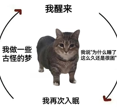 图片中央是一只表情平静的灰色虎斑猫，周围环绕着一个圆形箭头，箭头旁配有四行文字，形成一个睡眠循环：顶部文字“我醒来”，左侧“我做一些古怪的梦”，右侧“我说'为什么睡了这么久还是很困'”，底部“我再次入眠”。整体通过猫咪形象和循环文字幽默展现了“醒来仍困、再次入睡”的生活状态，画面简洁易懂，充满共鸣感。