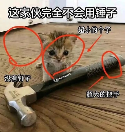 暂无描述